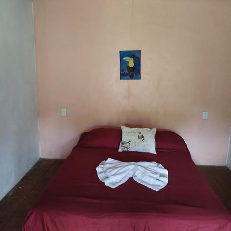 Mariposa Drake Apartment Drake Bay Bagian luar foto