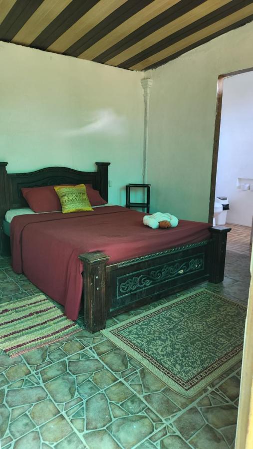 Mariposa Drake Apartment Drake Bay Bagian luar foto