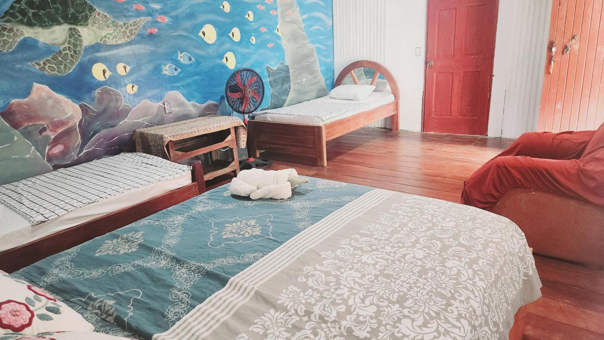 Mariposa Drake Apartment Drake Bay Bagian luar foto