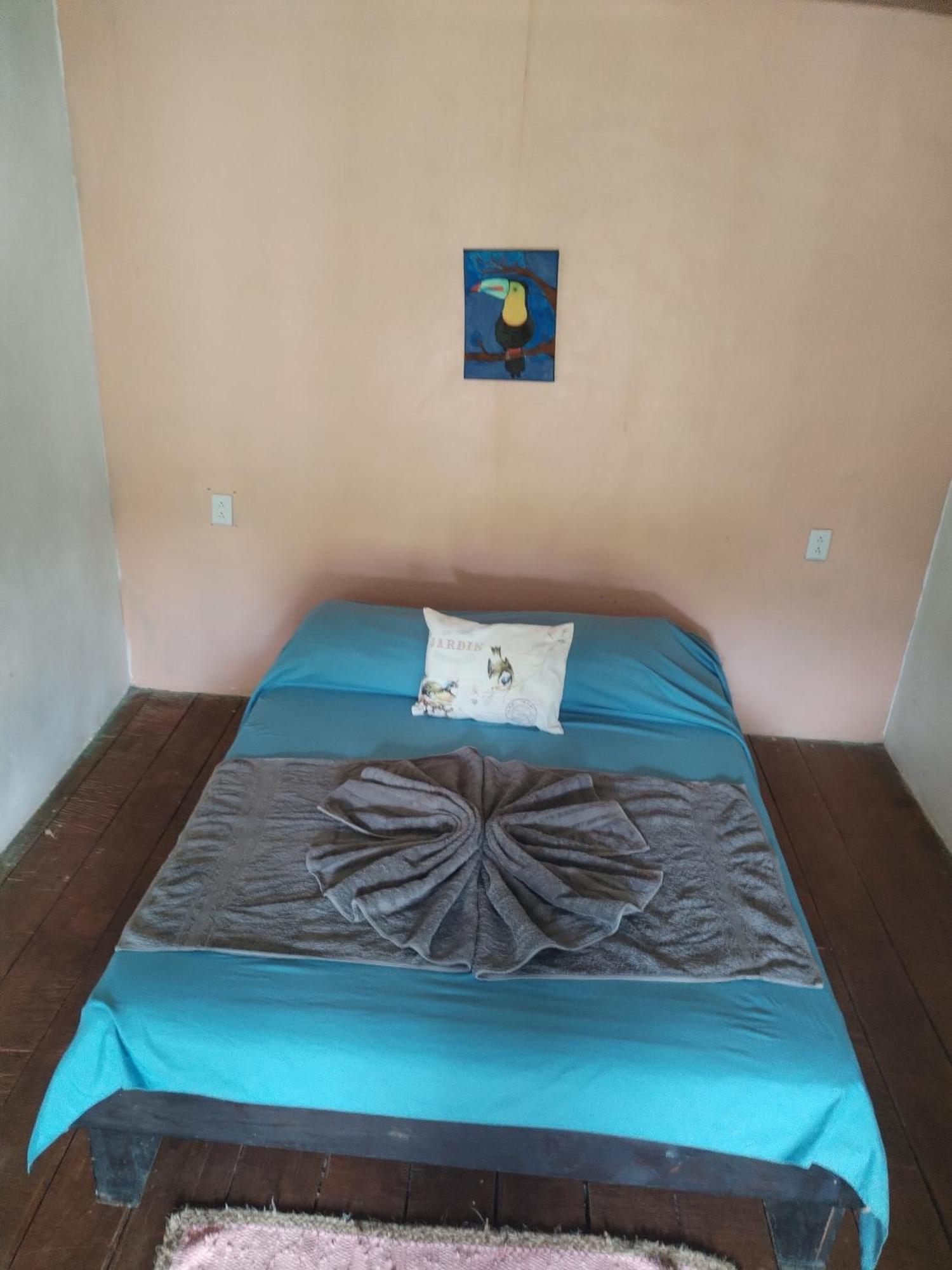 Mariposa Drake Apartment Drake Bay Bagian luar foto