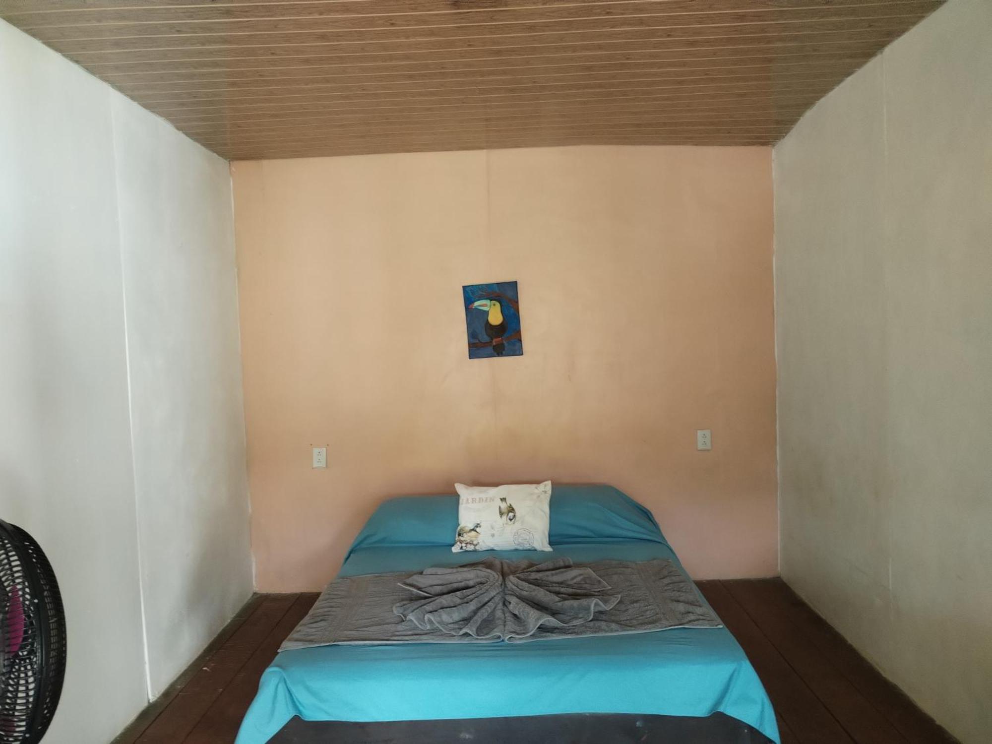 Mariposa Drake Apartment Drake Bay Bagian luar foto