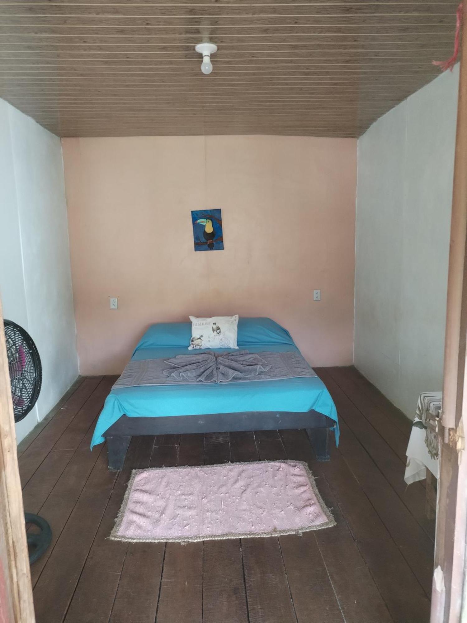 Mariposa Drake Apartment Drake Bay Bagian luar foto
