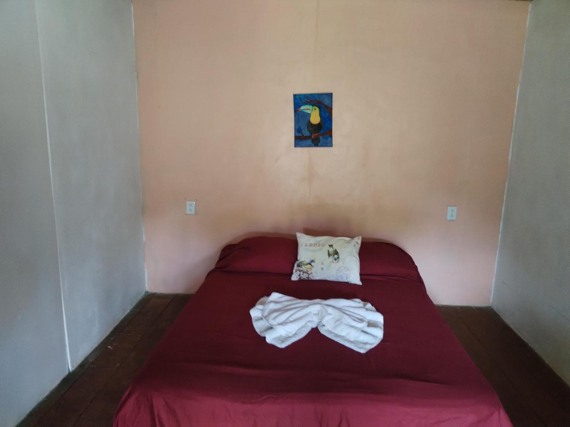 Mariposa Drake Apartment Drake Bay Bagian luar foto